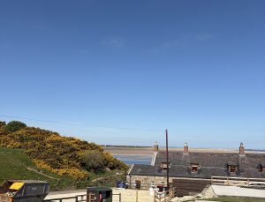 IMG_3905